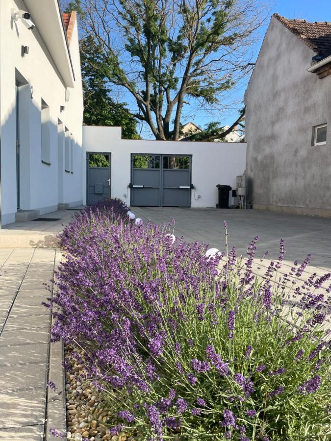 Dream Apartman Levél Buitenkant foto