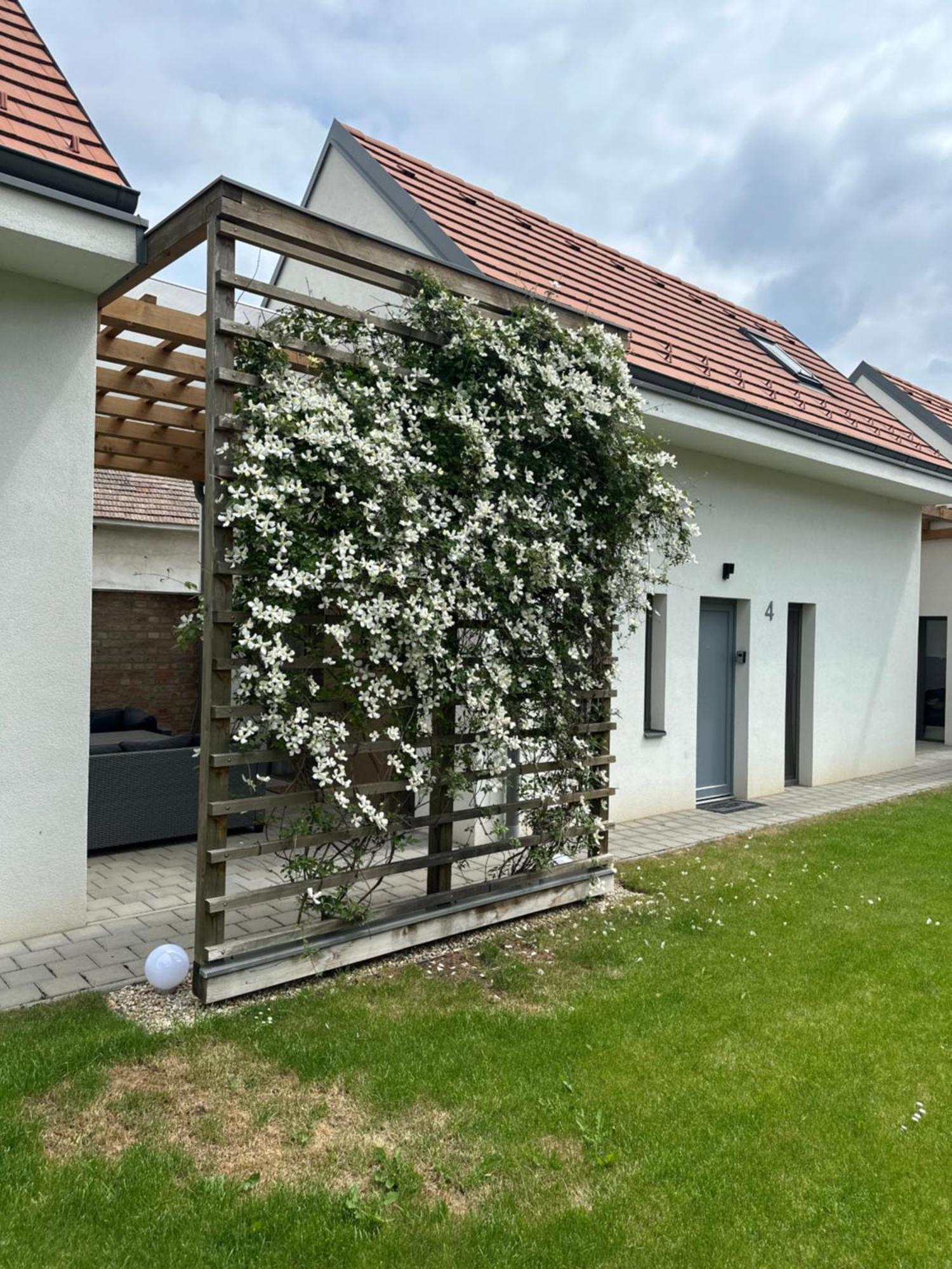 Dream Apartman Levél Buitenkant foto