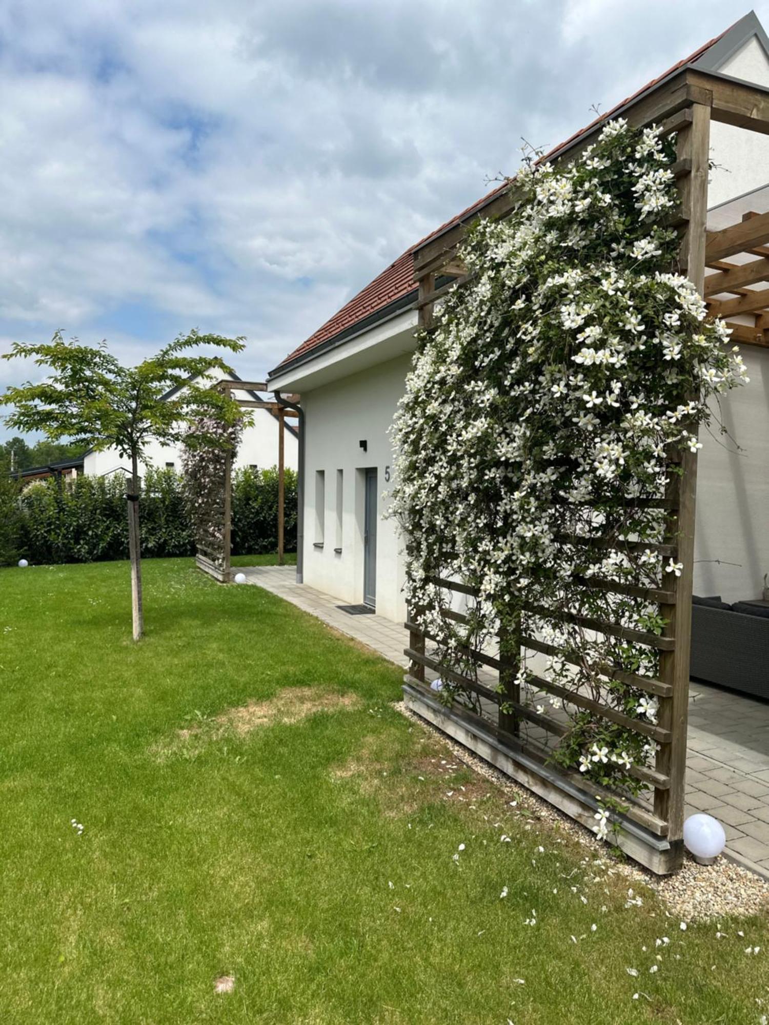 Dream Apartman Levél Buitenkant foto